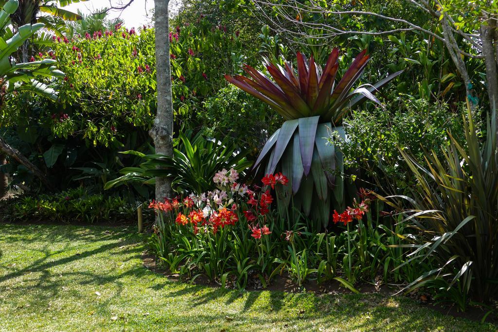 Hotel Bougainvillea San Jose Santo Domingo De Heredia Exterior photo